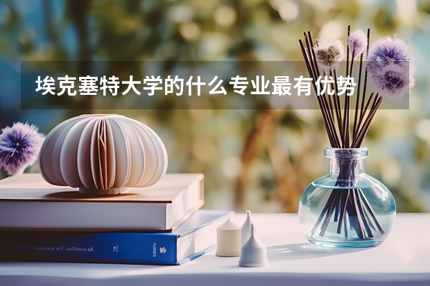 埃克塞特大学的什么专业最有优势