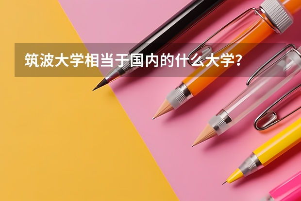 筑波大学相当于国内的什么大学？