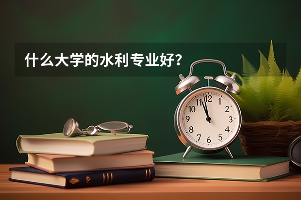 什么大学的水利专业好？