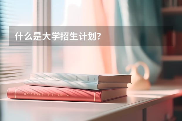 什么是大学招生计划？