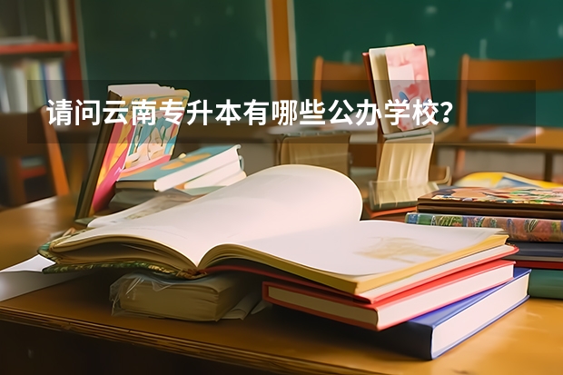 请问云南专升本有哪些公办学校？