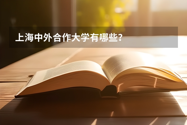 上海中外合作大学有哪些？