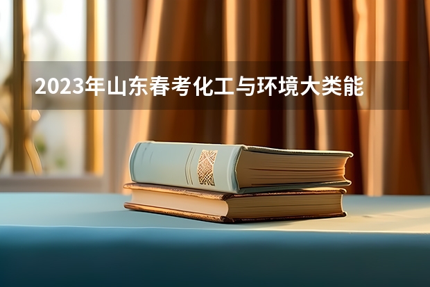 2023年山东春考化工与环境大类能报的本科学校有哪些？