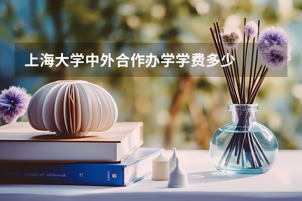 上海大学中外合作办学学费多少