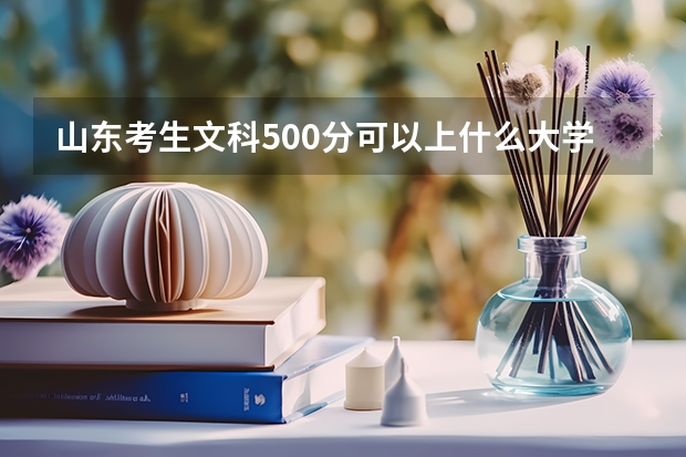 山东考生文科500分可以上什么大学？