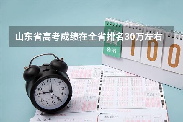 山东省高考成绩在全省排名30万左右能上什么大学？